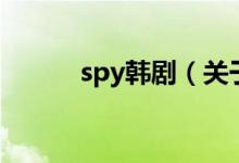 spy韓劇（關于spy韓劇的介紹）