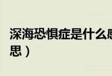 深?？謶职Y是什么感覺（深?？謶职Y是什么意思）