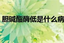 膽堿酯酶低是什么?。憠A酯酶低是什么病）