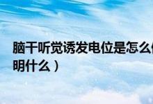 腦干聽覺誘發(fā)電位是怎么做的（腦干聽覺誘發(fā)電位結果能說明什么）