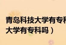 青島科技大學(xué)有專(zhuān)科嗎是什么文憑（青島科技大學(xué)有專(zhuān)科嗎）