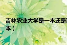 吉林農業(yè)大學是一本還是兩本（吉林農業(yè)大學是一本還是二本）