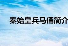 秦始皇兵馬俑簡(jiǎn)介(秦始皇兵馬俑簡(jiǎn)介)