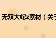 無(wú)雙大蛇z素材（關(guān)于無(wú)雙大蛇z素材的介紹）