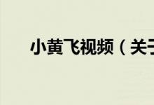 小黃飛視頻（關于小黃飛視頻的介紹）