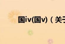 國iv(國v)（關(guān)于國iv(國v)的介紹）