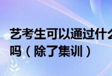 藝考生可以通過什么其他的方式提升一下自己嗎（除了集訓(xùn)）