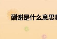 酬謝是什么意思?。ǔ曛x是什么意思）
