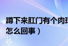 蹲下來肛門有個肉球怎么回事（肛門有個肉球怎么回事）
