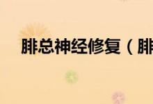 腓總神經(jīng)修復（腓總神經(jīng)能自我修復嗎）