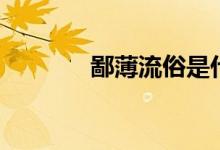 鄙薄流俗是什么意思（鄙?。?class=