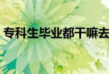?？粕厴I(yè)都干嘛去了（最好的出路是什么）
