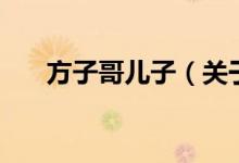 方子哥兒子（關于方子哥兒子的介紹）