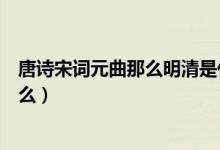 唐詩(shī)宋詞元曲那么明清是什么（唐詩(shī)宋詞元曲明清后面是什么）