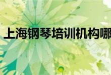 上海鋼琴培訓(xùn)機(jī)構(gòu)哪家好(怎么選擇培訓(xùn)班)