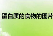 蛋白質(zhì)的食物的圖片（蛋白質(zhì)的食物有哪些）