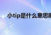 小tip是什么意思啊（小TIP是什么意思）