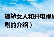 轆轤女人和井電視?。P(guān)于轆轤女人和井電視劇的介紹）