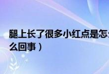 腿上長(zhǎng)了很多小紅點(diǎn)是怎么回事（腿上長(zhǎng)了很多小紅點(diǎn)是怎么回事）
