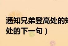 遙知兄弟登高處的知什么意思(遙知兄弟登高處的下一句)