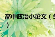 高中政治小論文（關于高中政治小論文的介紹）