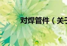 對焊管件（關(guān)于對焊管件的介紹）