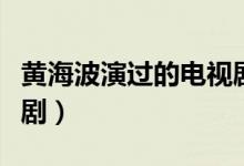 黃海波演過的電視劇大全（黃海波演過的電視?。?class=