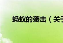螞蟻的襲擊（關于螞蟻的襲擊的介紹）