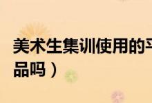 美術生集訓使用的平板有什么要求嗎（是必需品嗎）