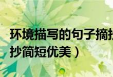 環(huán)境描寫的句子摘抄簡(jiǎn)短（環(huán)境描寫的句子摘抄簡(jiǎn)短優(yōu)美）