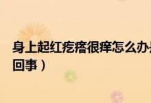身上起紅疙瘩很癢怎么辦是什么?。ㄉ砩掀鸺t疙瘩很癢怎么回事）