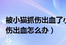 被小貓抓傷出血了小貓沒(méi)有狂犬?。ū恍∝堊鲅趺崔k）