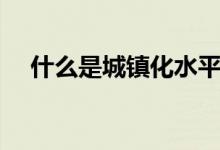 什么是城鎮(zhèn)化水平不高(什么是城鎮(zhèn)化)