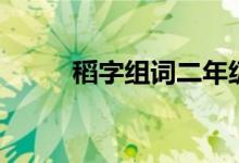 稻字組詞二年級(jí)上冊(cè)（稻字組詞）